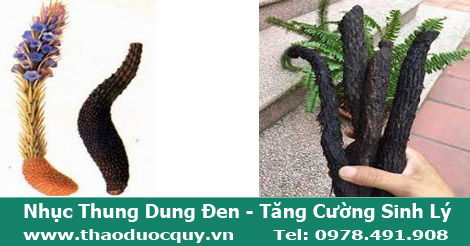 Hình ảnh nhục thung dung đen đã chế